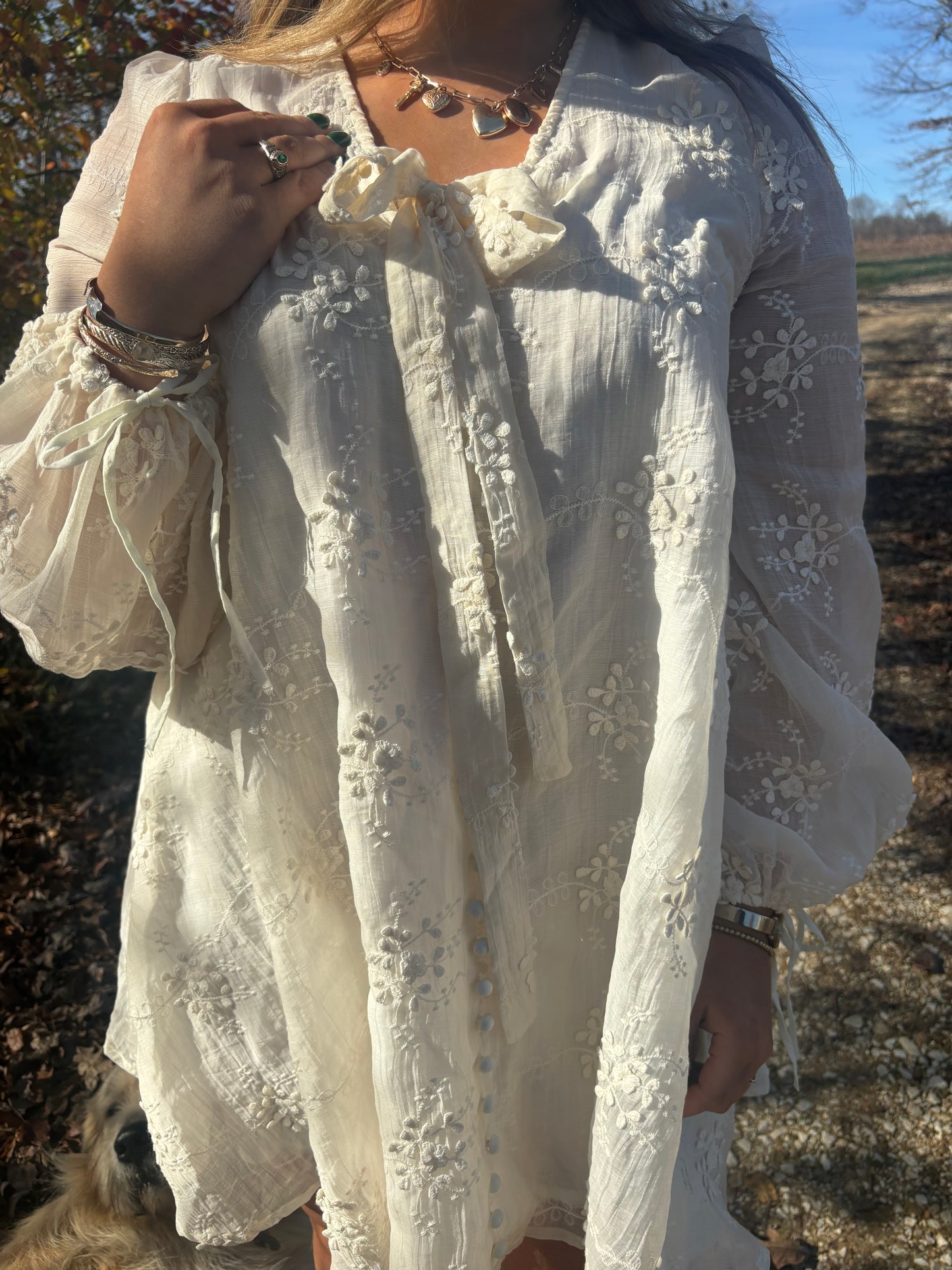 Ivory Enchantment Embroidered Mini Dress