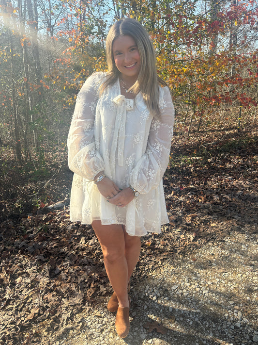 Ivory Enchantment Embroidered Mini Dress