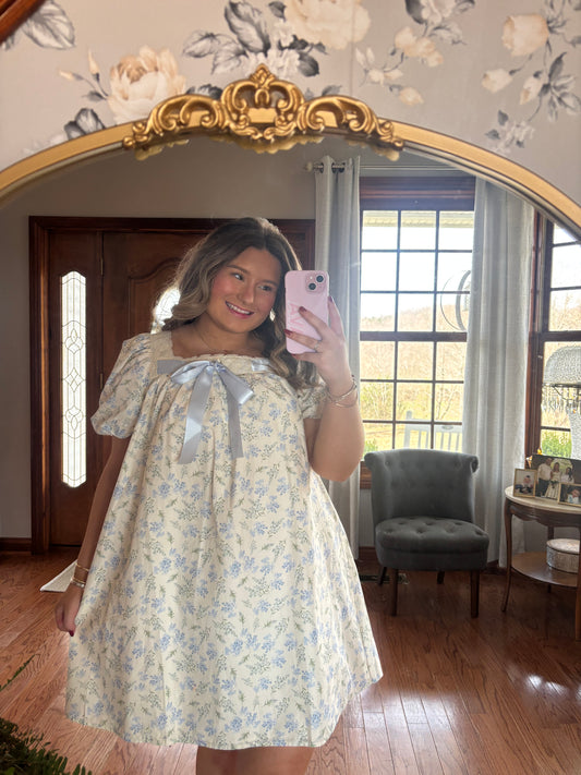Blue Bow Meadow Dress